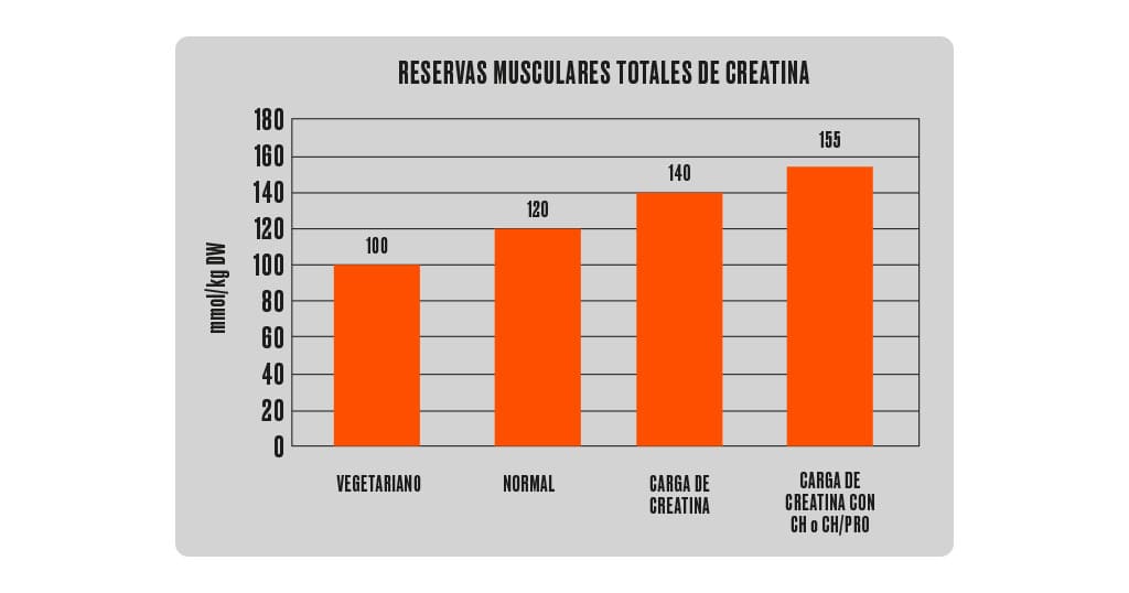 dósis de la creatina